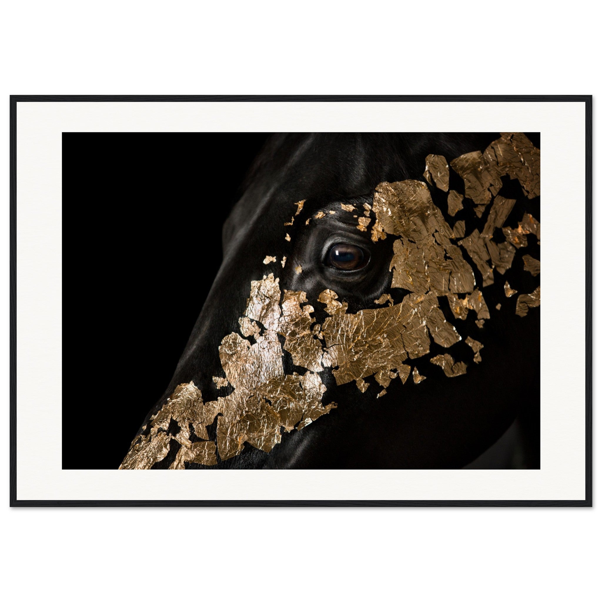 a073a401-ad77-421e-adb4-9c3a13fda8bd