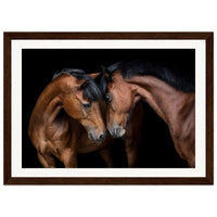 a07aee85-d506-421b-a980-a75fe433ae51