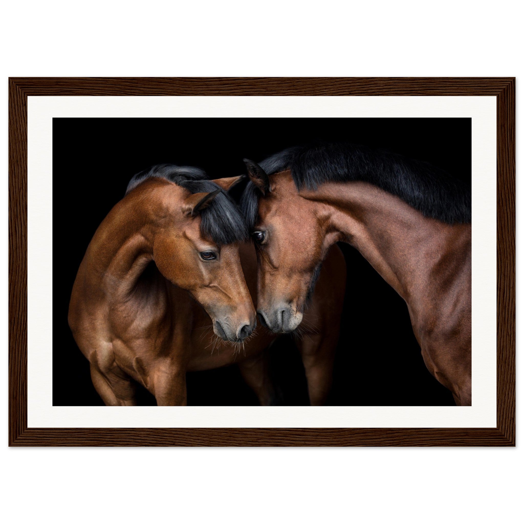 a07aee85-d506-421b-a980-a75fe433ae51