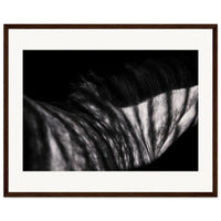 a0da739c-36cf-444e-b730-d2360df2a981