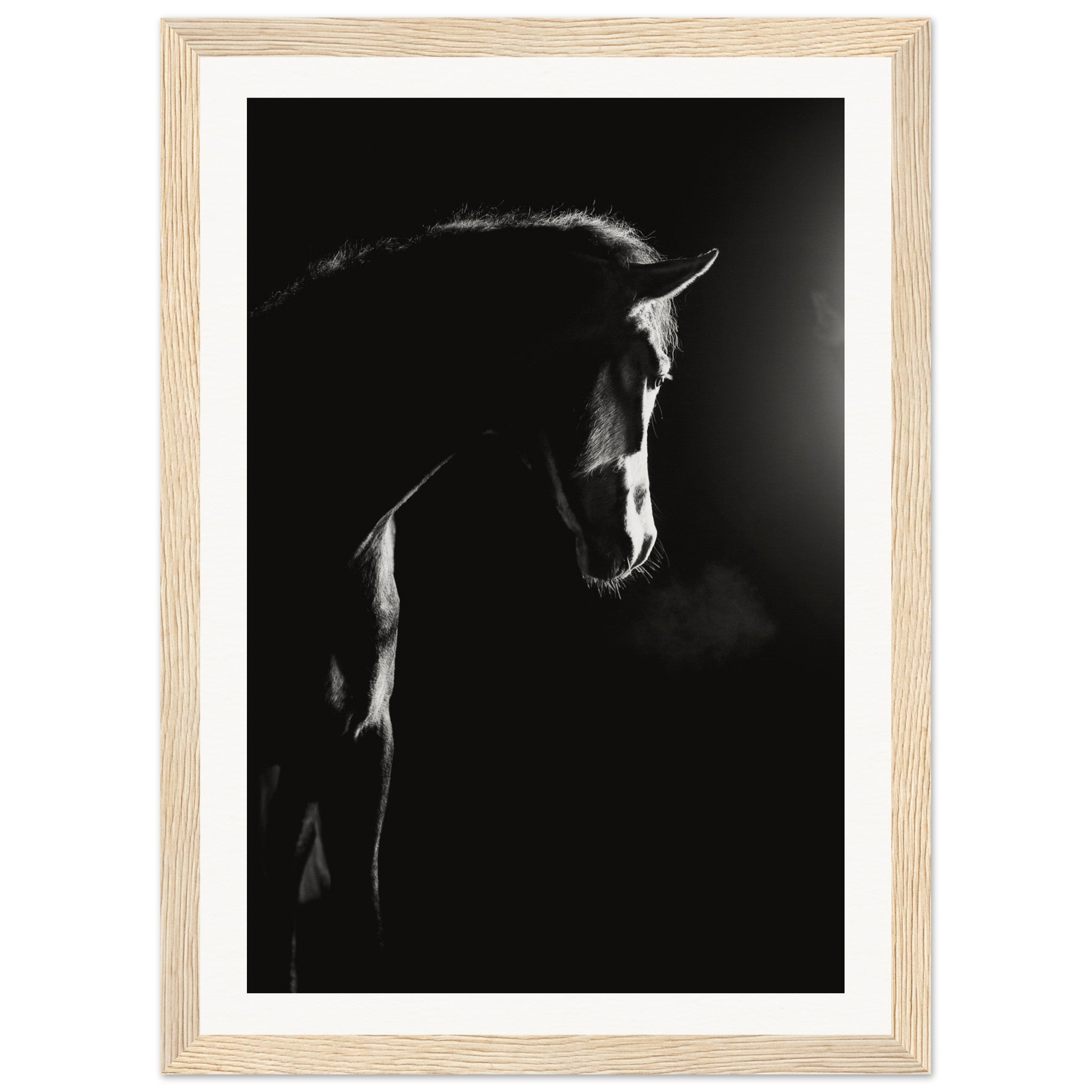 a0e06ee7-a7a5-4ed0-b926-3e3105be4feb