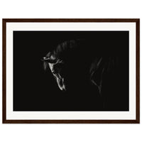 a0f276e7-b974-4881-9c67-cd627e8c5c70