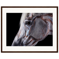 a10c4170-6376-4cc1-8b79-e576d618c8a8