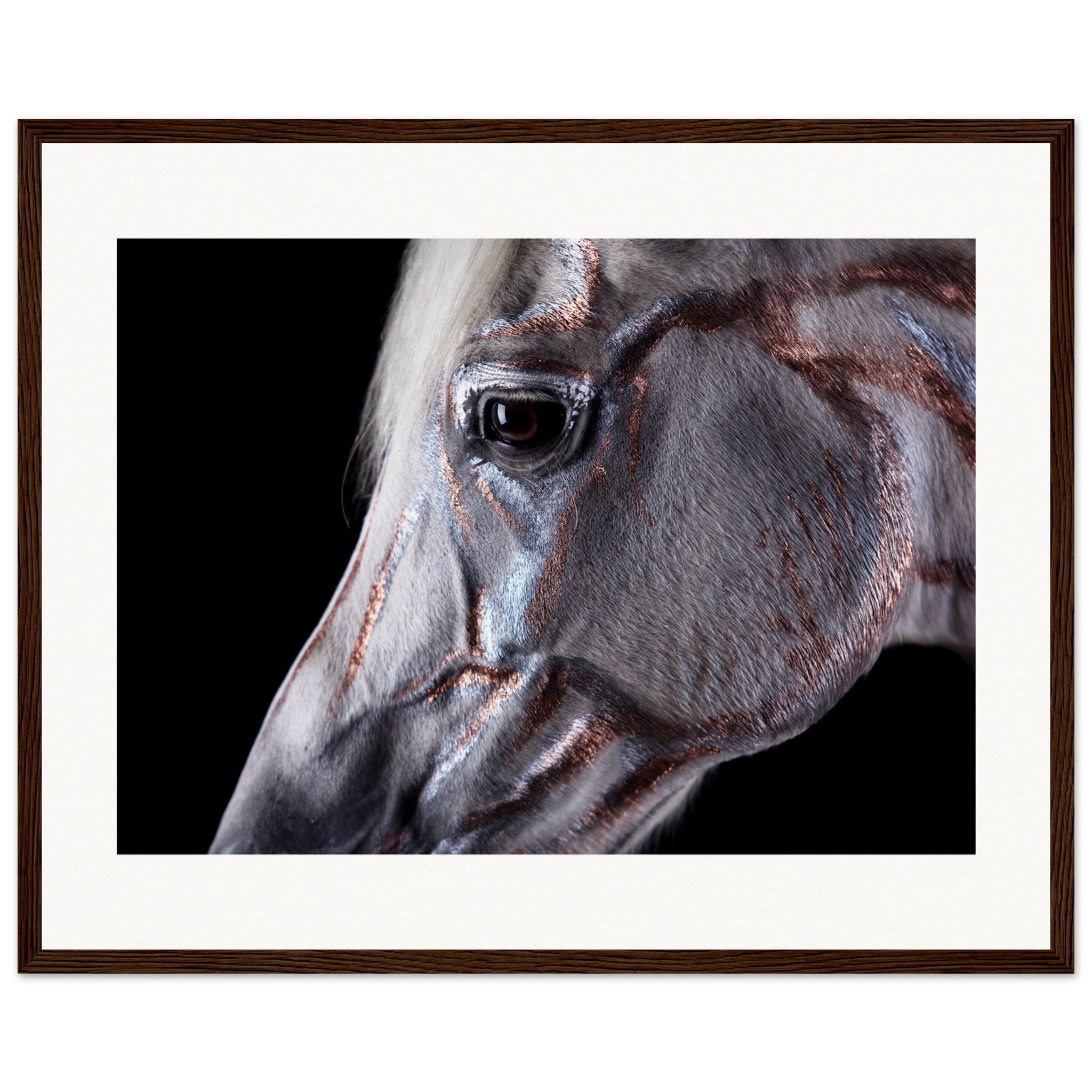 a10c4170-6376-4cc1-8b79-e576d618c8a8