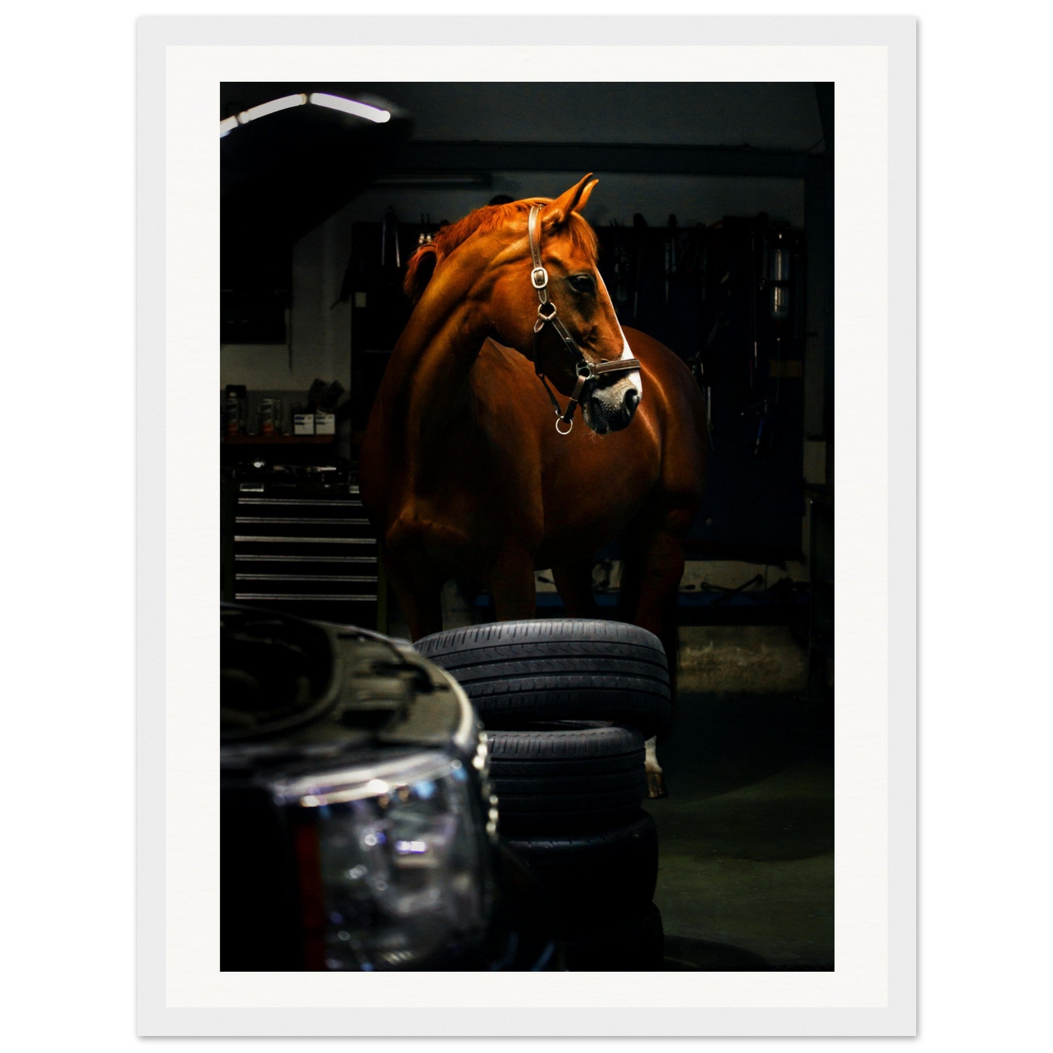 a156bd47-61c3-43e8-8fda-396b5d77b5f0