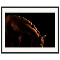 a15ac8f7-2638-45ce-9469-6bb66a887893