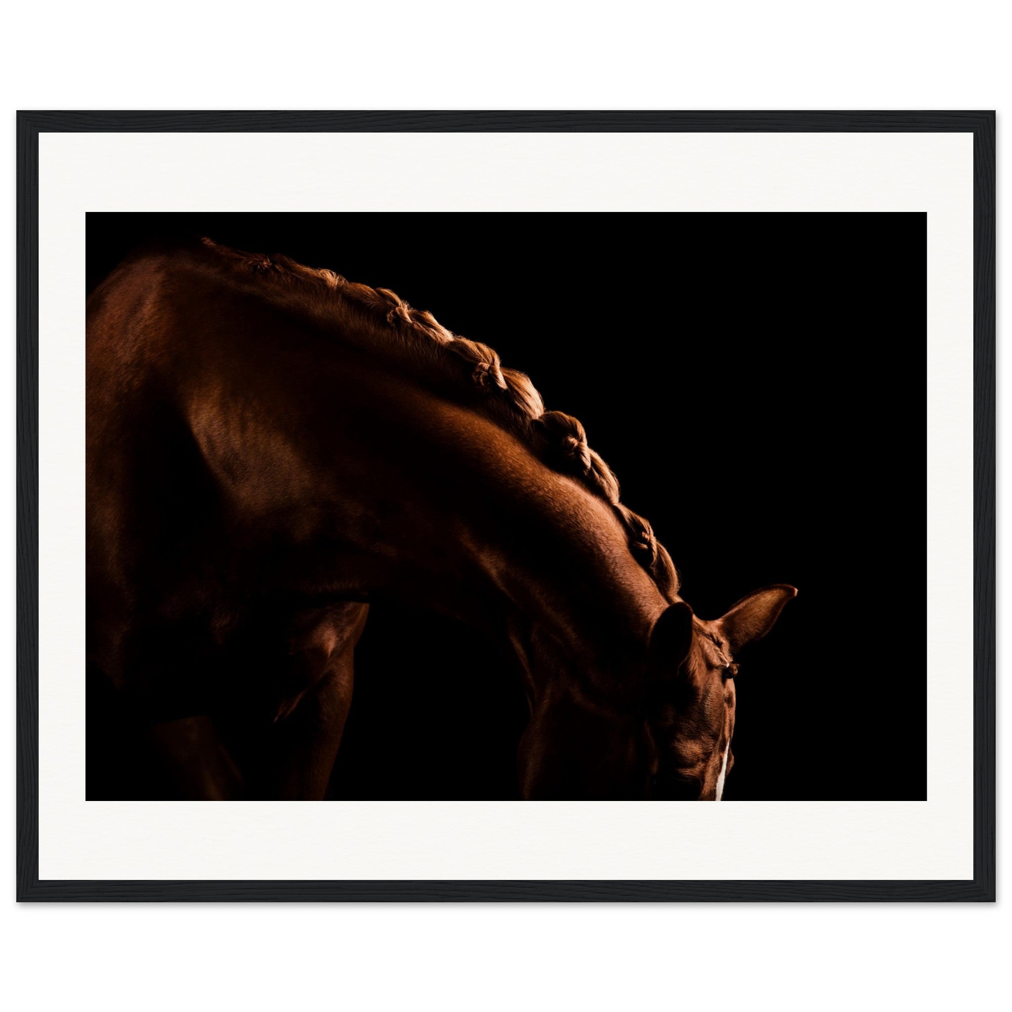 a15ac8f7-2638-45ce-9469-6bb66a887893