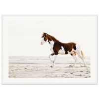 a1bbc78b-1781-4cdc-88e4-1c2fb2f87245