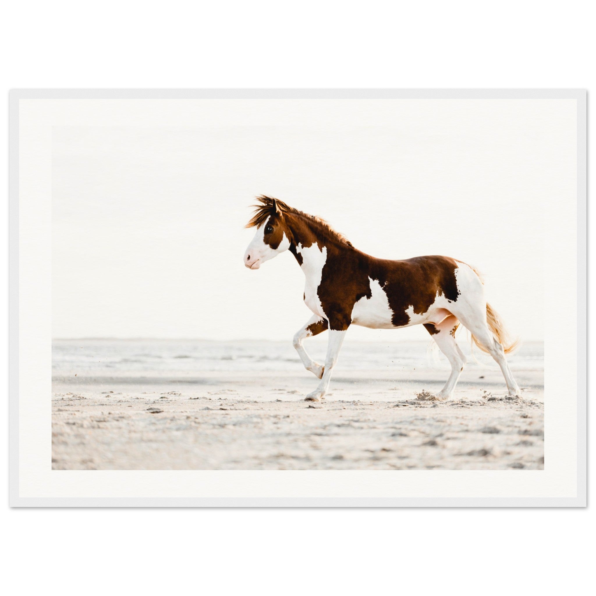 a1bbc78b-1781-4cdc-88e4-1c2fb2f87245