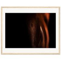 a1c18a36-9bed-4d49-b296-5ac90f874ec7