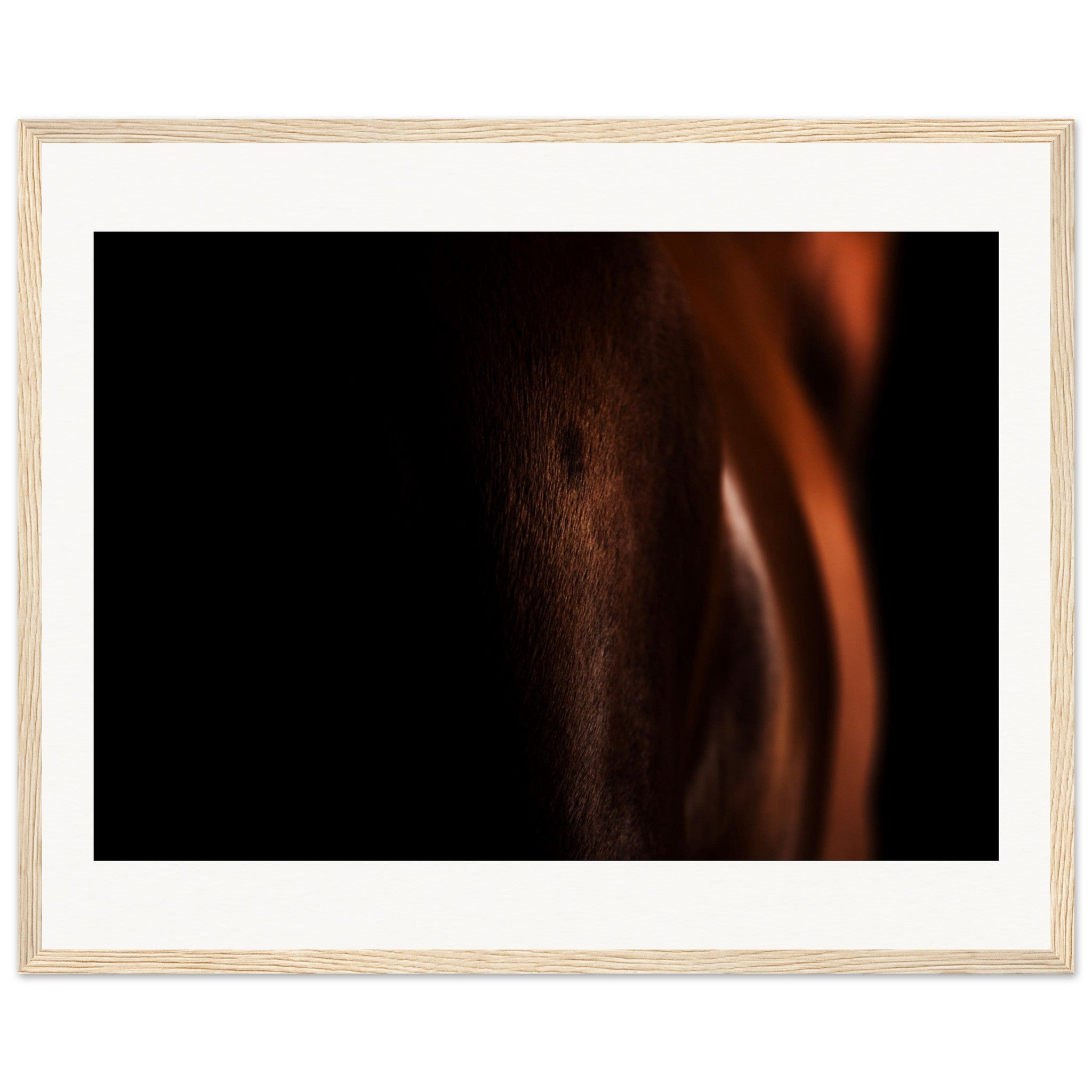 a1c18a36-9bed-4d49-b296-5ac90f874ec7