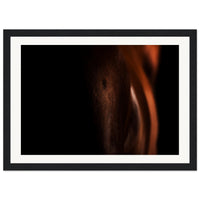 a1f8ea2b-2adc-44a3-8ba2-d5df122bc9fd