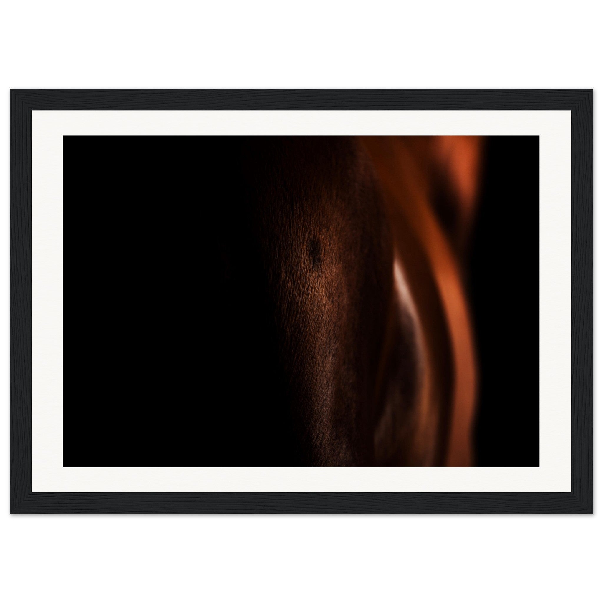 a1f8ea2b-2adc-44a3-8ba2-d5df122bc9fd