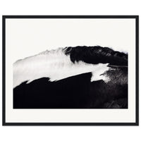 a209e10a-91bb-496f-8dbe-d2ec8137b2ae