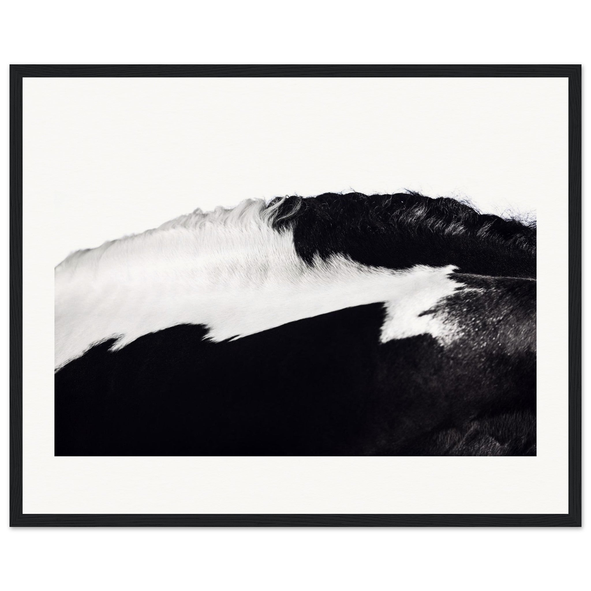 a209e10a-91bb-496f-8dbe-d2ec8137b2ae