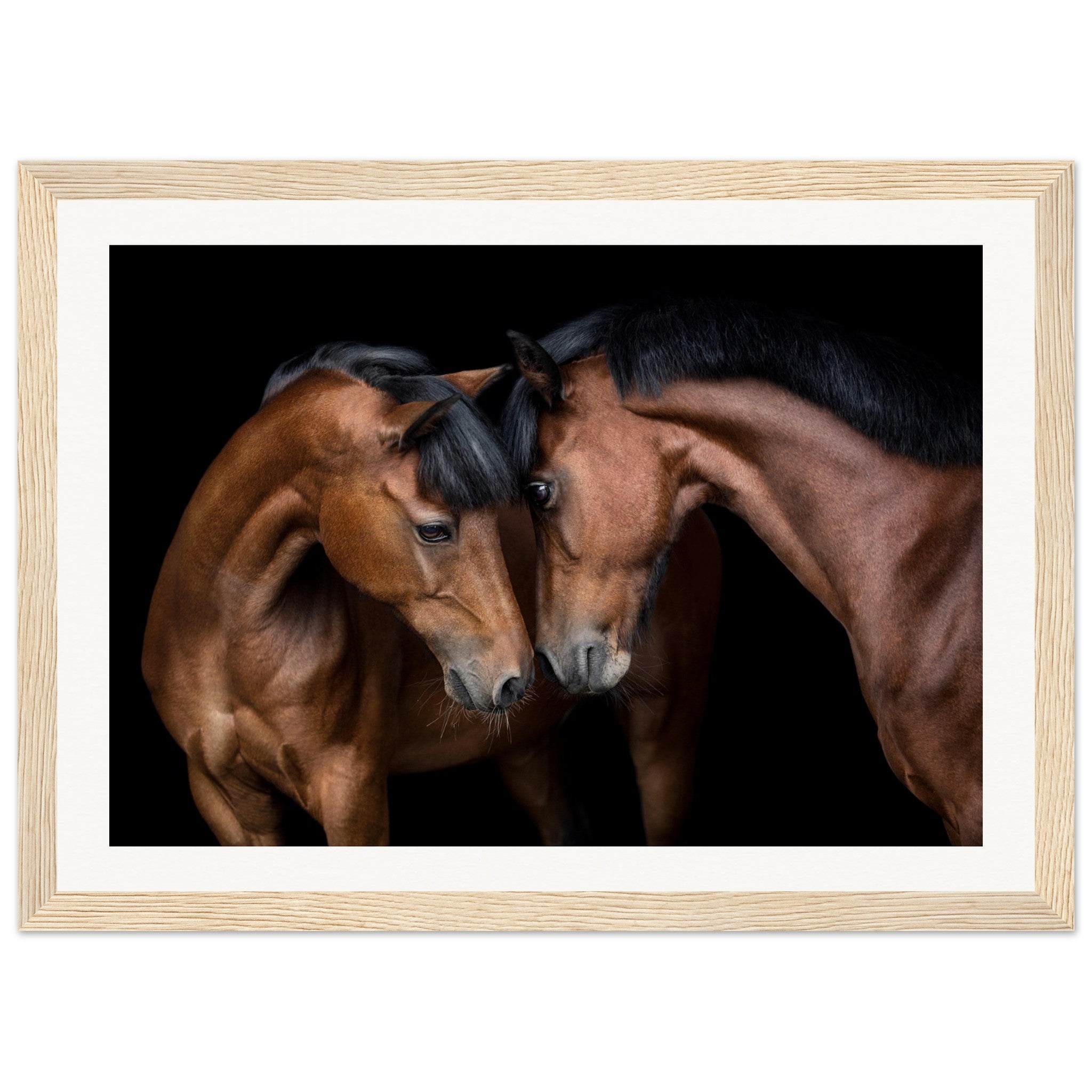 a21ac2c3-d626-4735-9c3b-6ea961652ef9