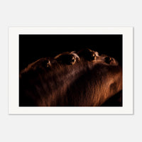 a2240ab4-1e71-43c5-8e6b-eccb5483e271