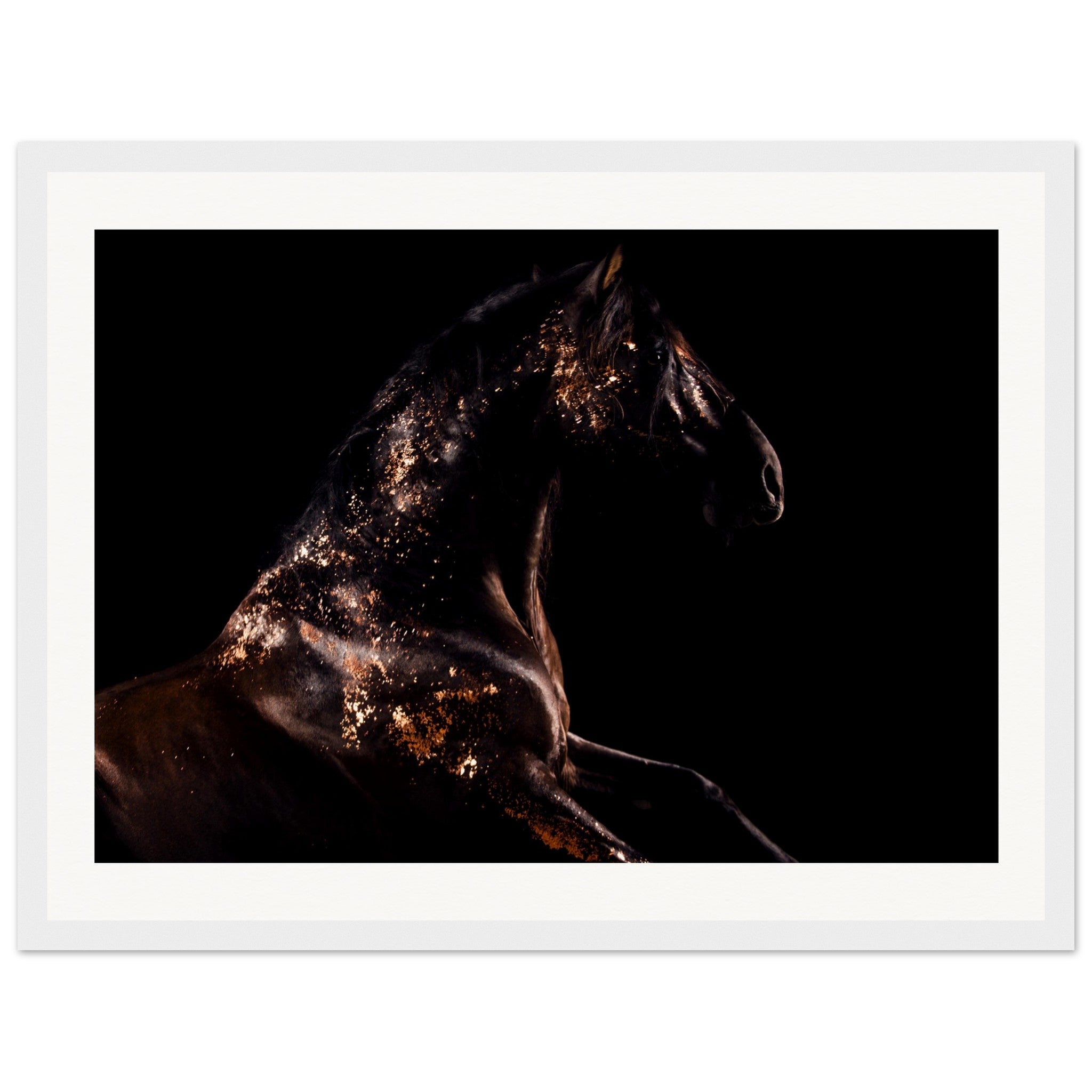 a22fa574-3123-4b9e-8ebe-5662896e5533