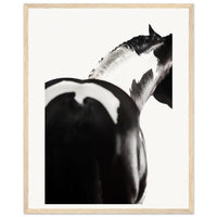 a24a9688-ba5c-43ba-a2d6-8f3cf8fa4510