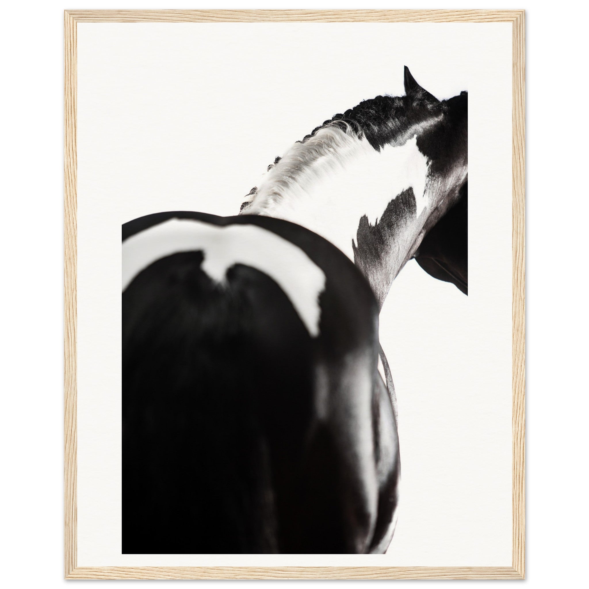 a24a9688-ba5c-43ba-a2d6-8f3cf8fa4510