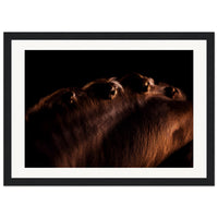 a2520ac8-b927-4b4d-8b4e-9fa9f8c068d0