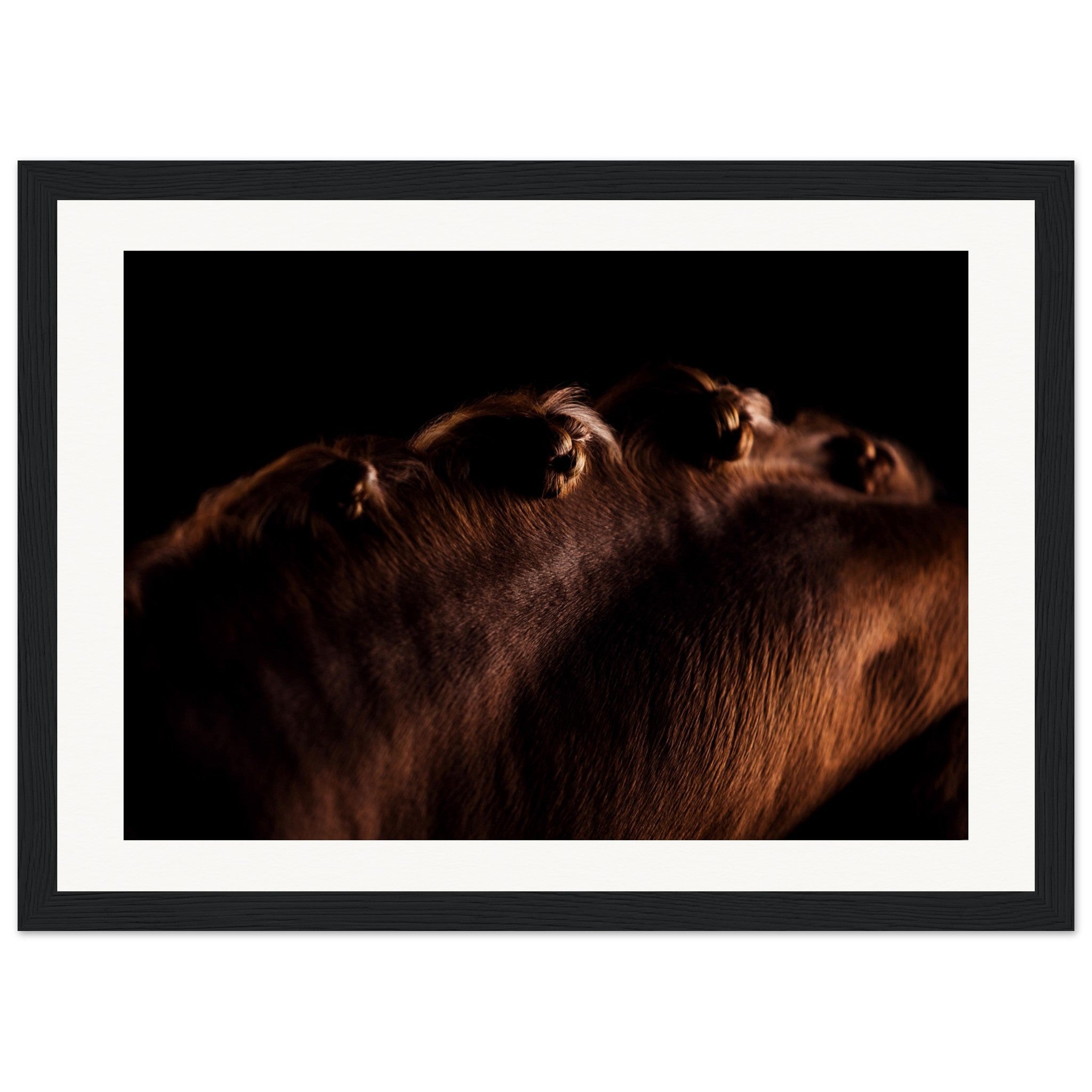 a2520ac8-b927-4b4d-8b4e-9fa9f8c068d0