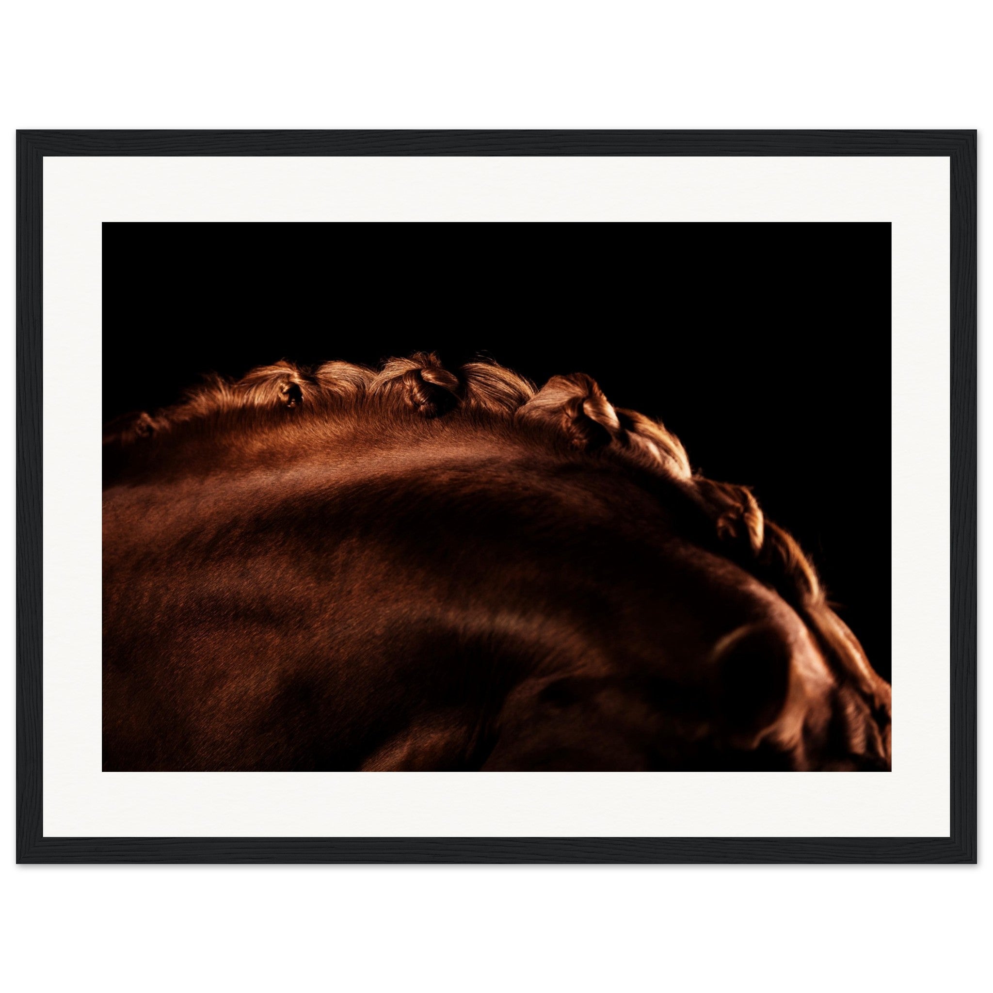 a25d8e6e-0a63-4c23-b7d5-d0f6572fae72