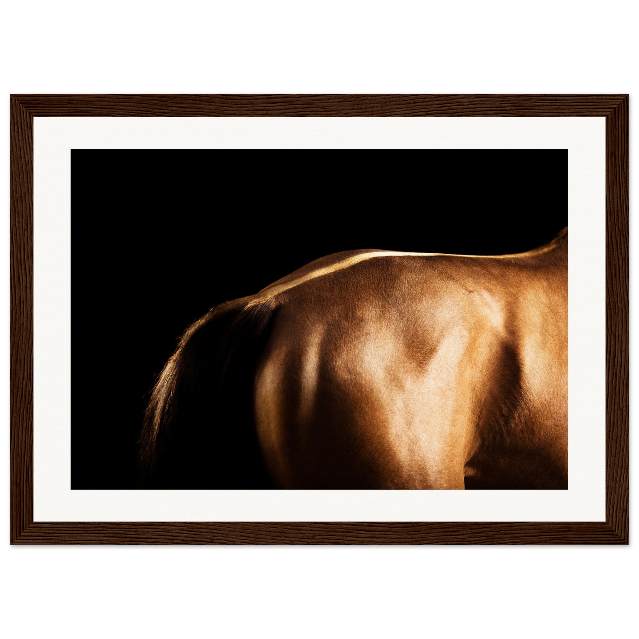 a27038d9-3382-413d-8249-aa473bcbd228