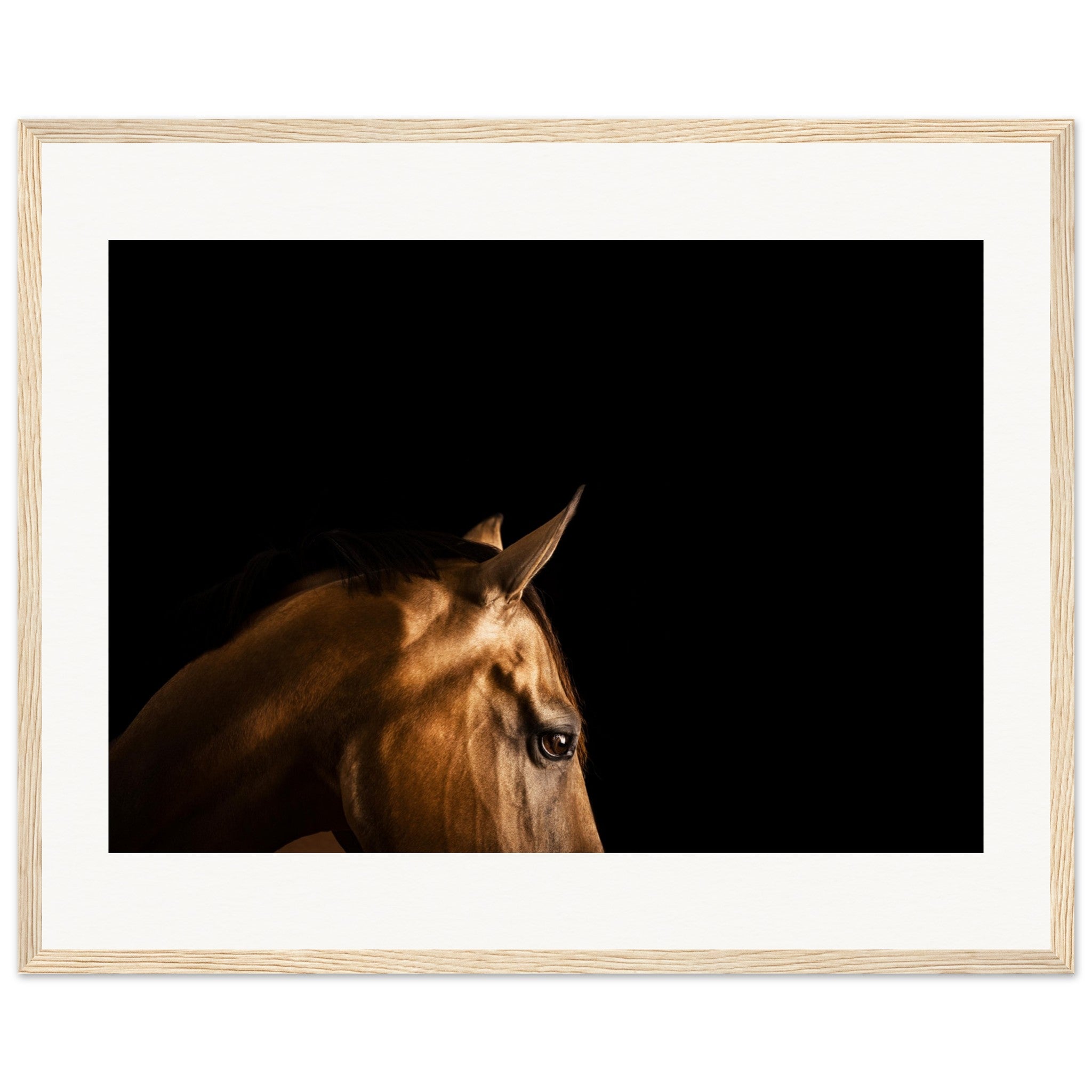 a2759fd7-005e-4f23-8cc2-443a92f68429