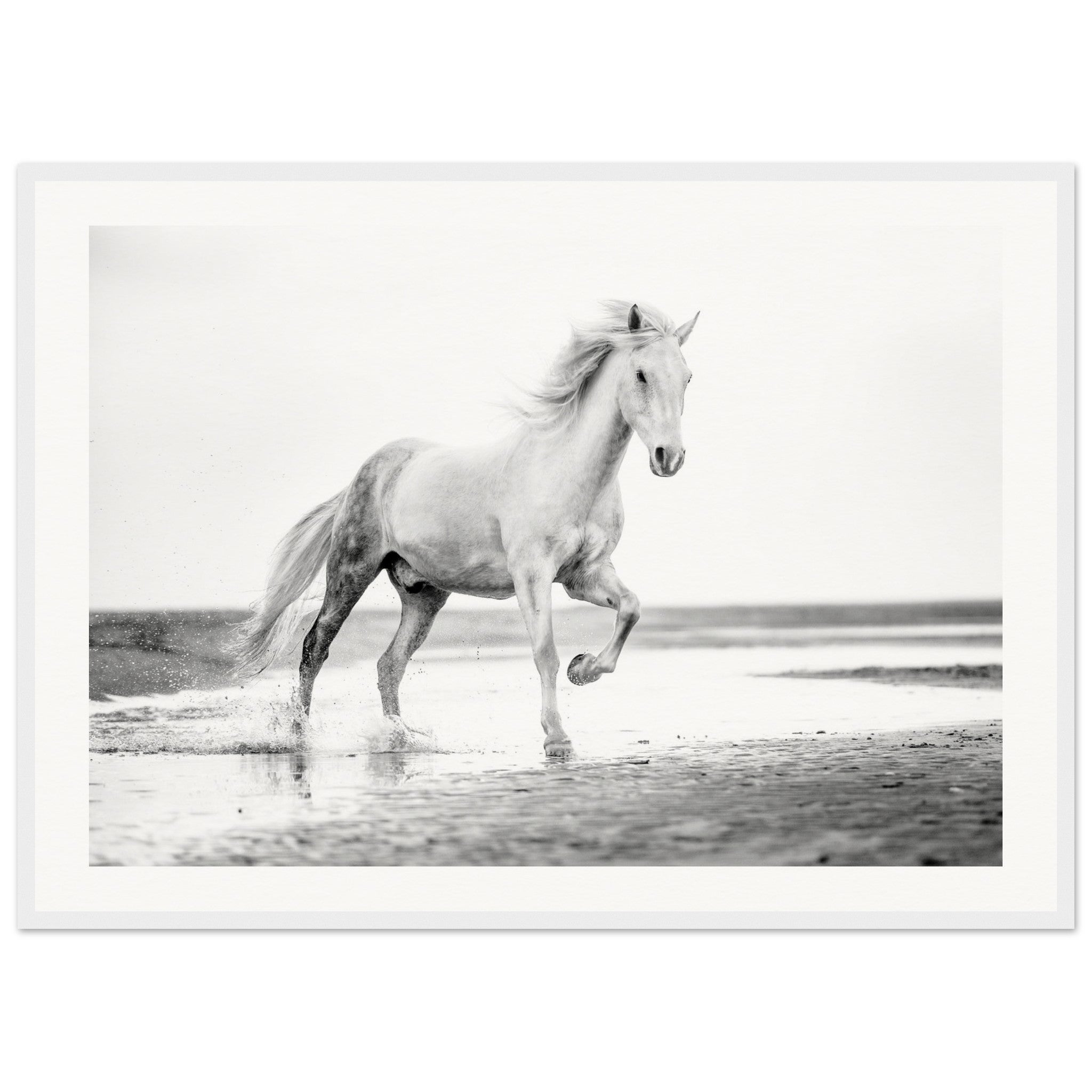 a2c8db13-b5e9-4708-abbb-1aca399fe0c6