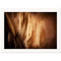 a2e88d91-dc50-431b-bfdf-733b302c882f