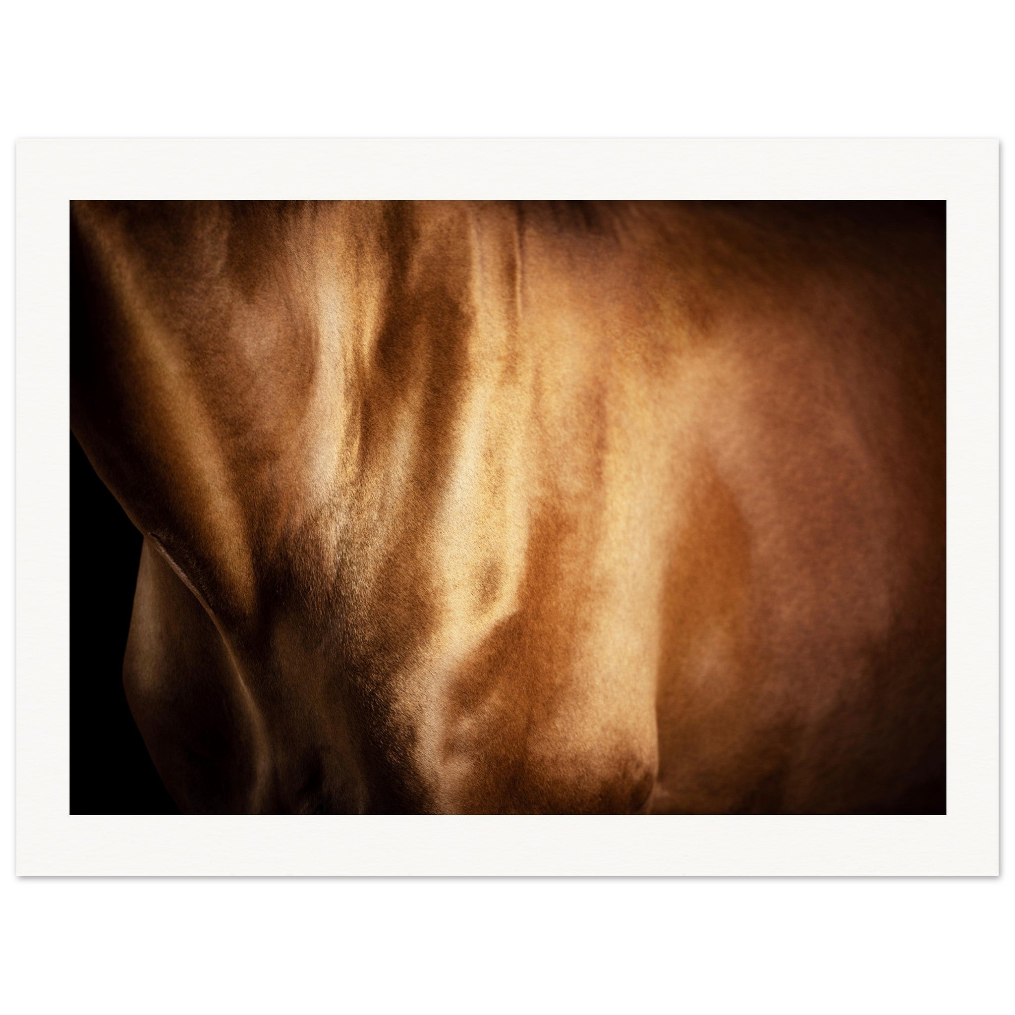 a2e88d91-dc50-431b-bfdf-733b302c882f