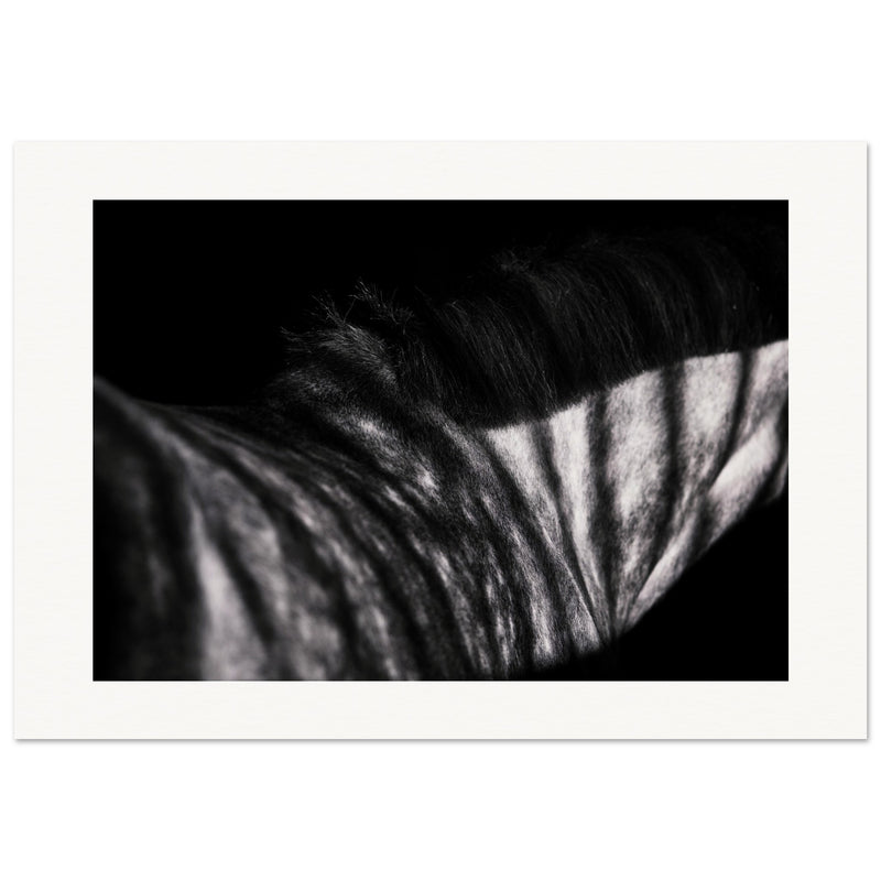 a2eaf9c7-6b26-4034-8ecc-eadc072397f9