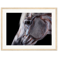 a2ed7150-5a31-4d7b-b433-b50d4501c8f8