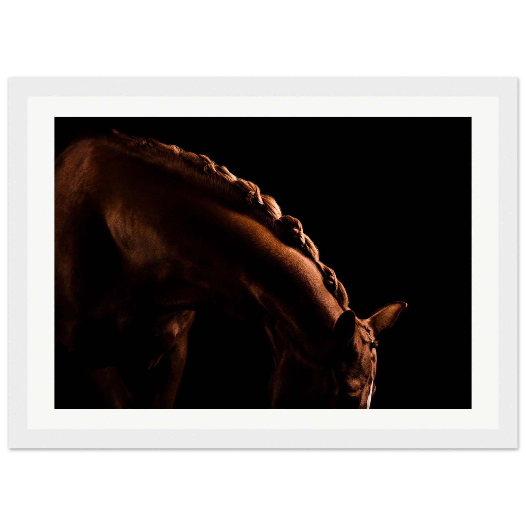 a2fe4044-a096-40de-8c29-d4e654573c21