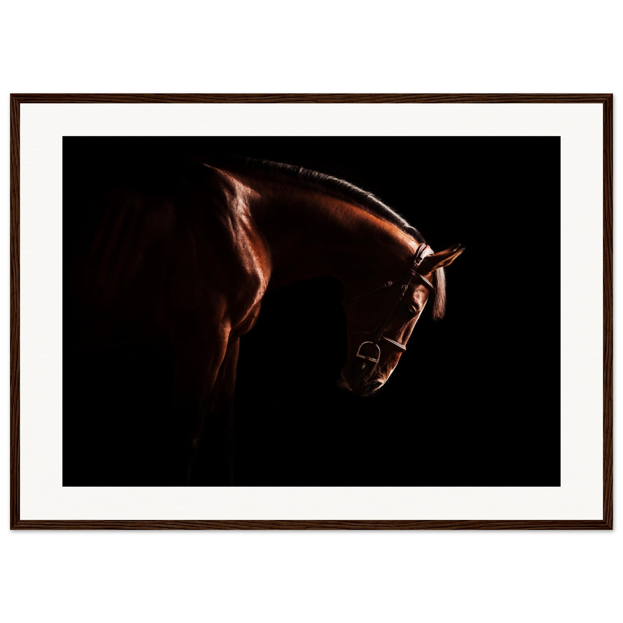 a34fd5fb-db54-4e39-adae-c6dc57b5ab44