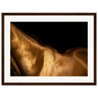 a35a36ad-8e13-4abb-aa99-4ec709a70c74