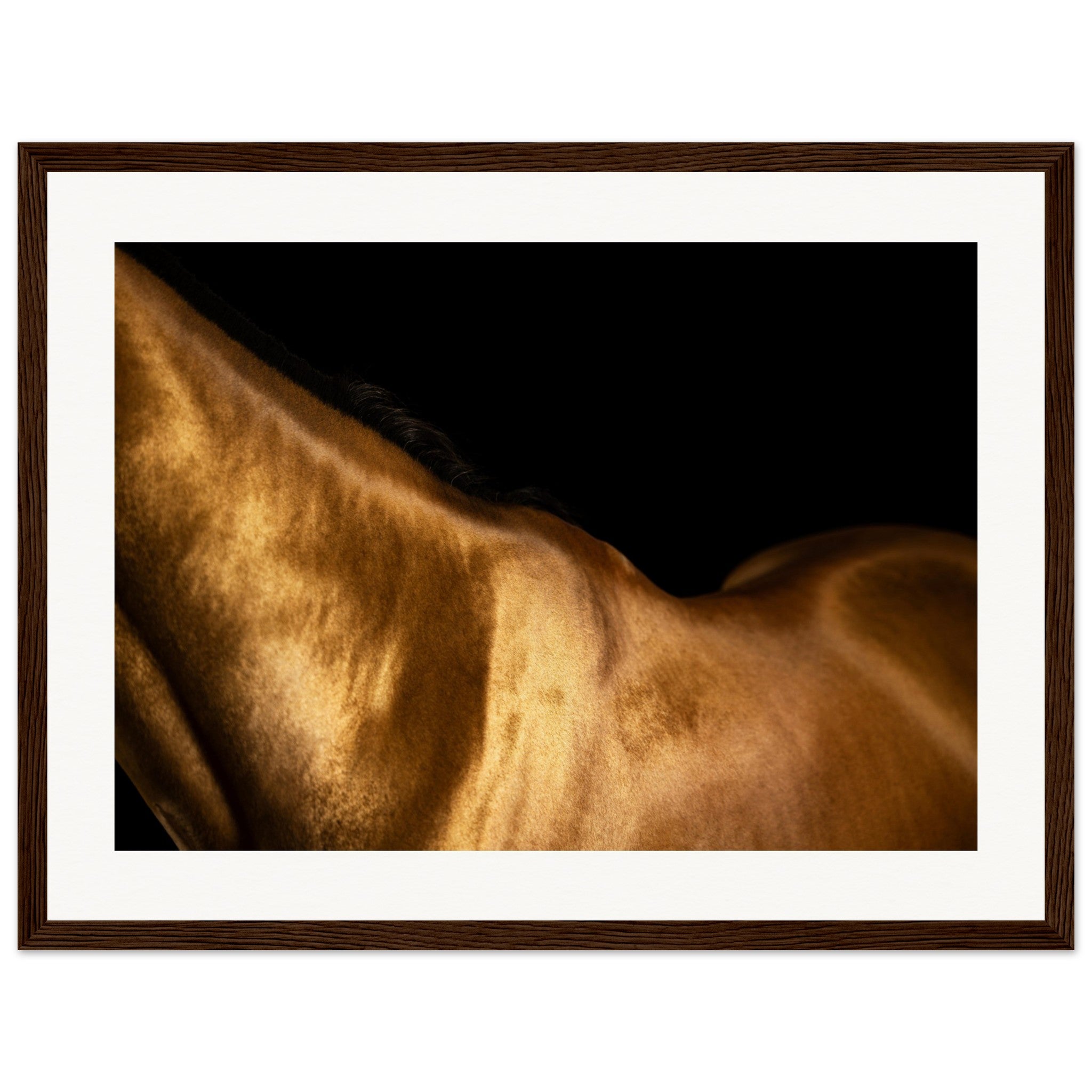 a35a36ad-8e13-4abb-aa99-4ec709a70c74