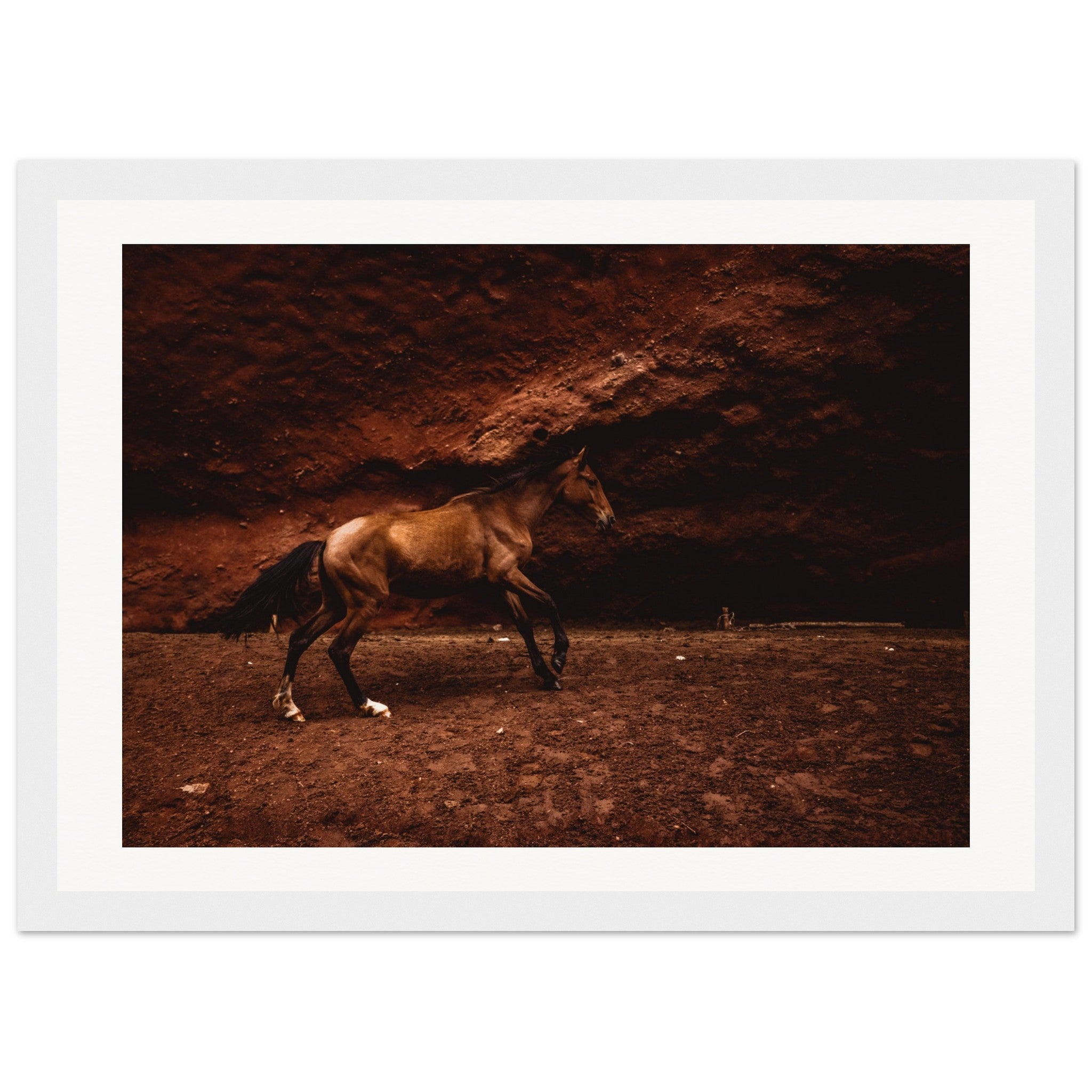 a362ce08-8bec-42a5-bb93-c21ce90aad10