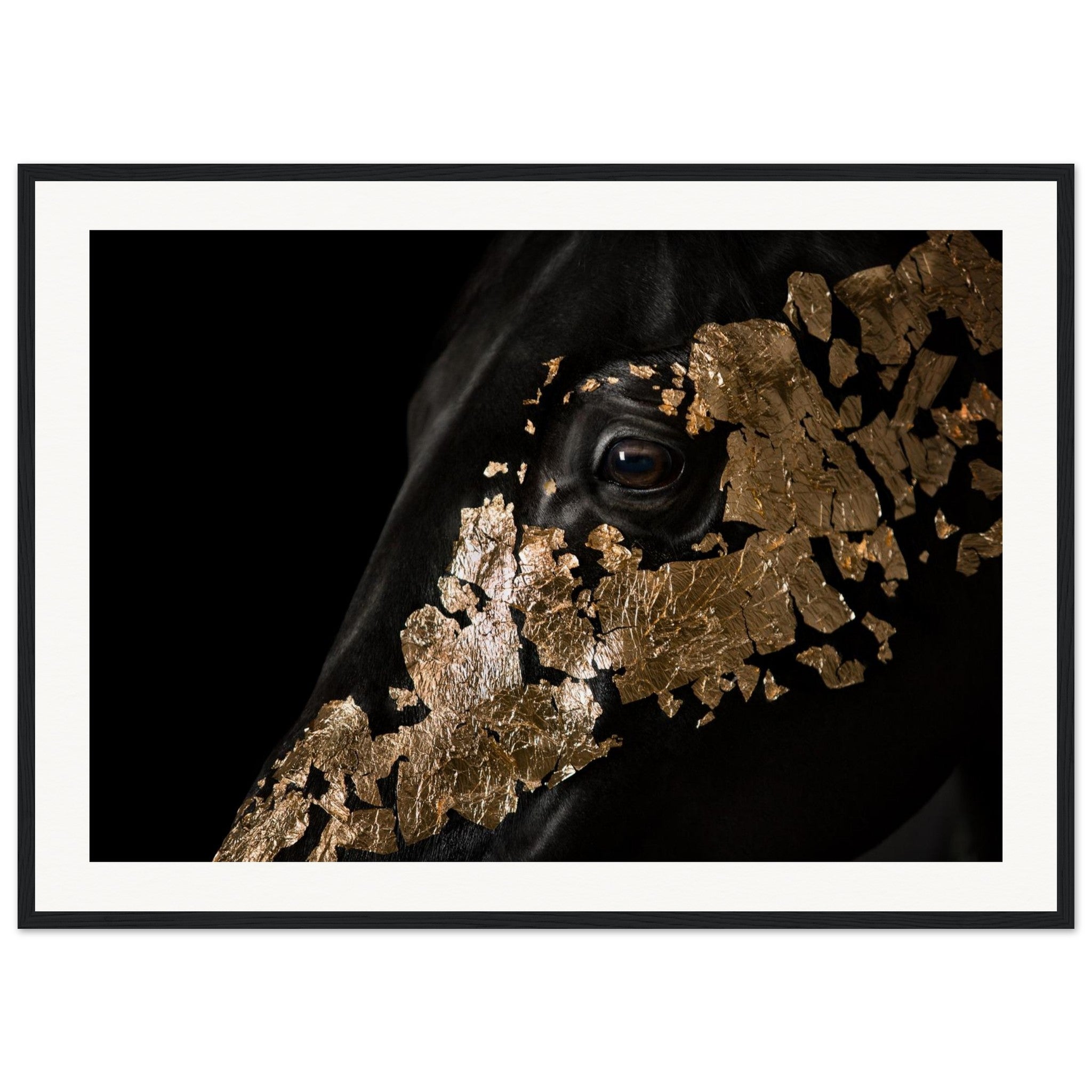 a3a65c39-a95a-455d-b8b1-26392d01eeaa