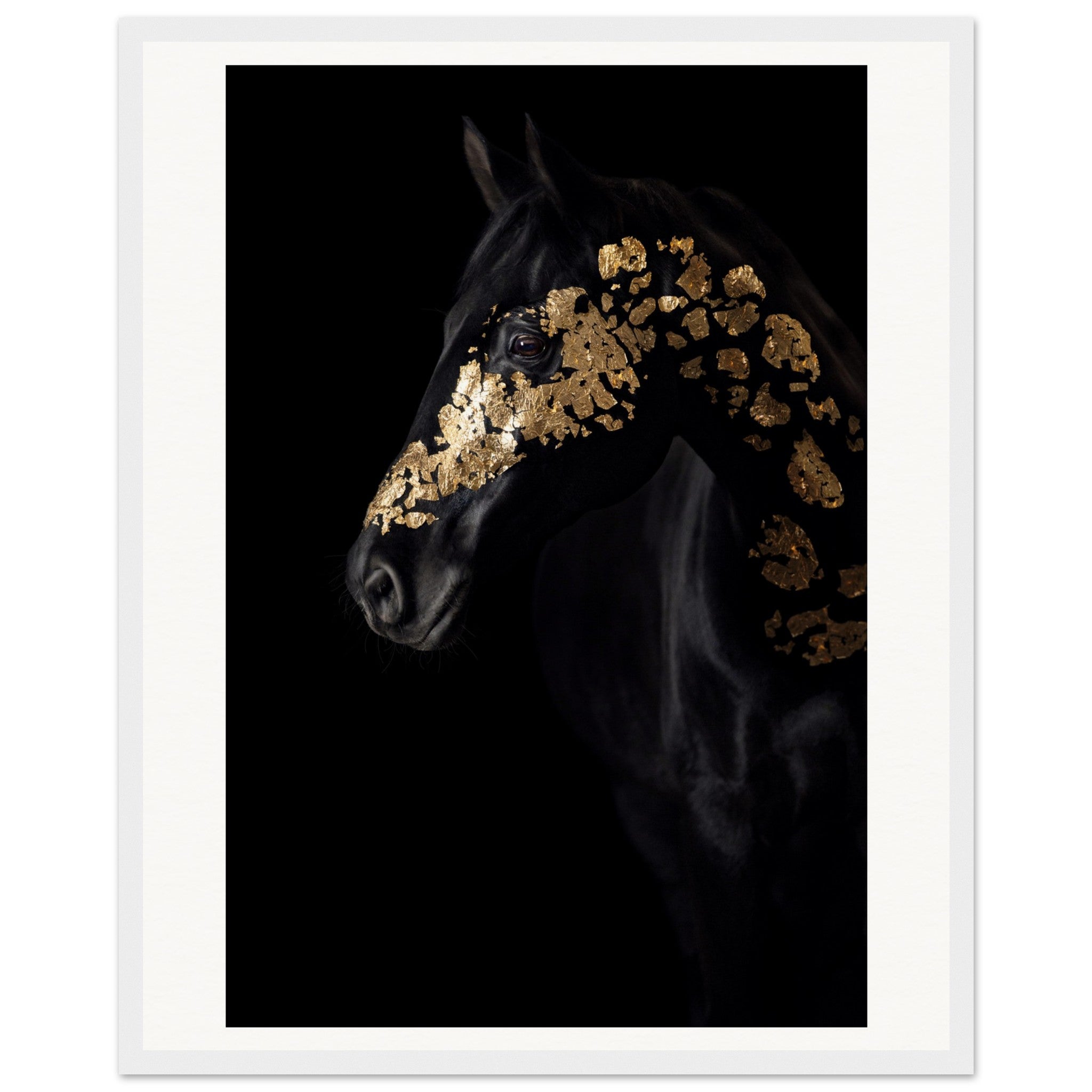 a3c528ad-8111-49a1-a921-217a3fe611b5