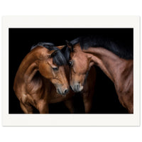 a3d60580-352f-4002-85d5-e7f415cb820a