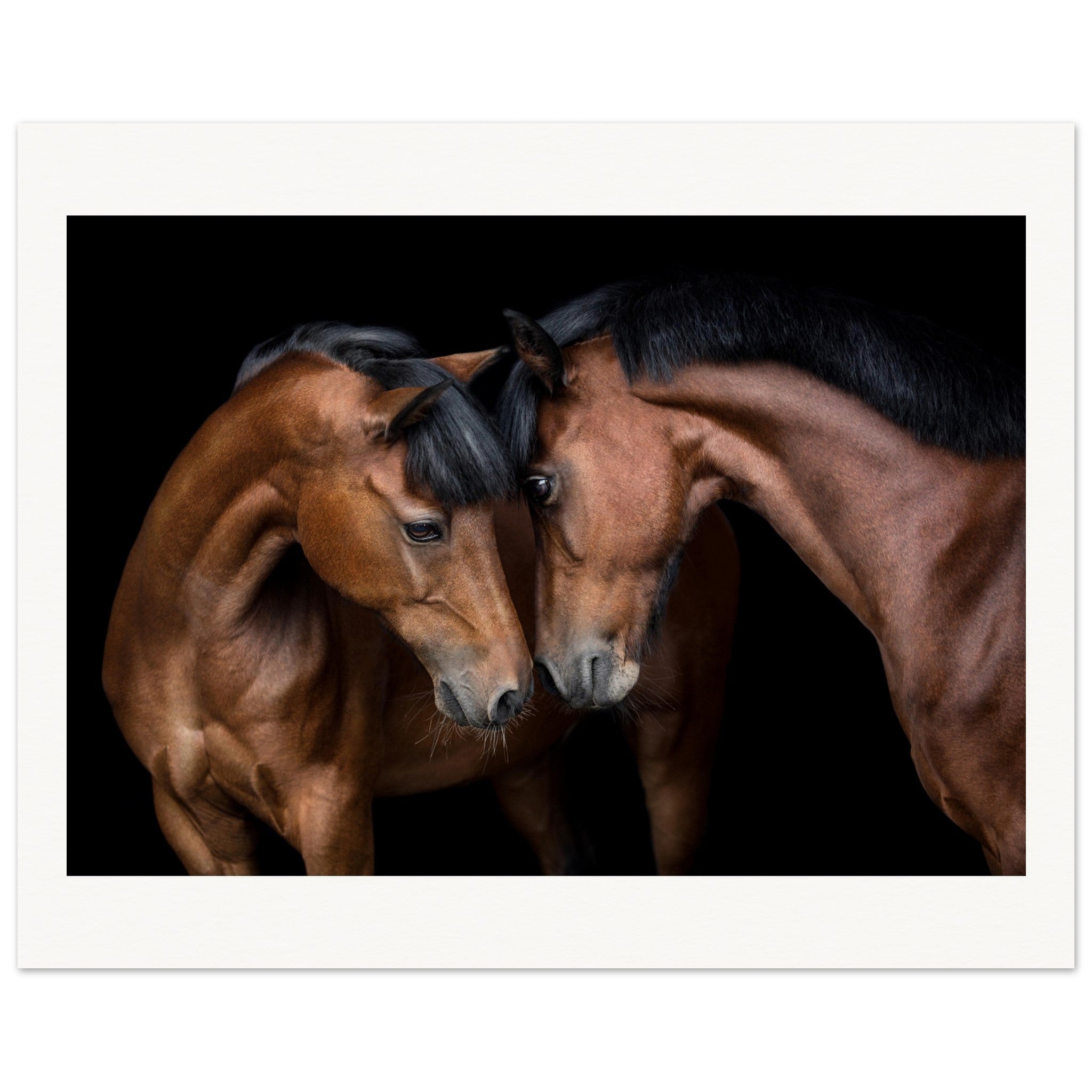 a3d60580-352f-4002-85d5-e7f415cb820a