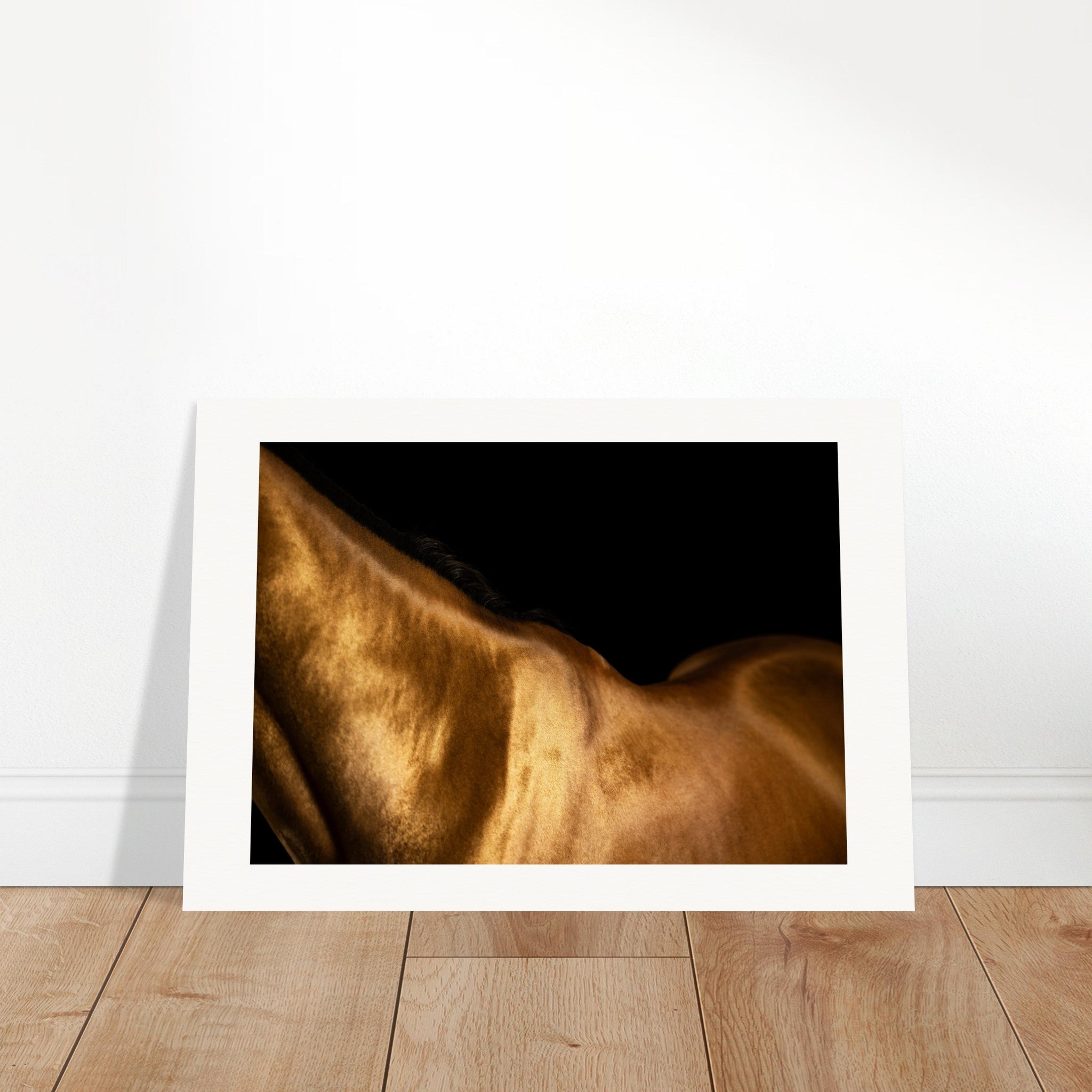 a41dc917-7efc-46ea-a3ff-71a828ef6fe0