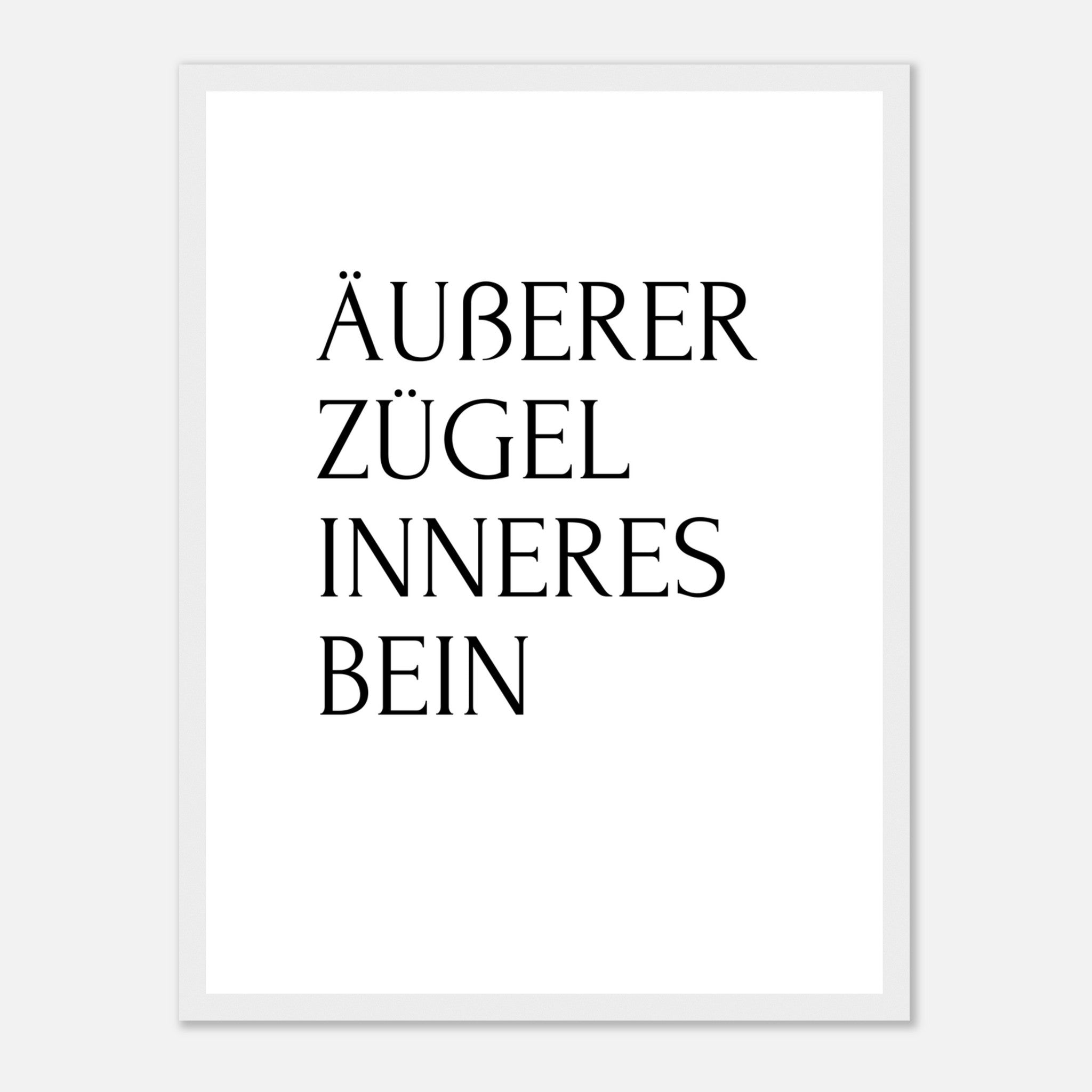 a4313e96-5b93-483e-a852-ff74f3c8597c