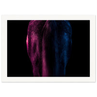 a47b437f-768e-4f6e-8e72-7e3bfa221297