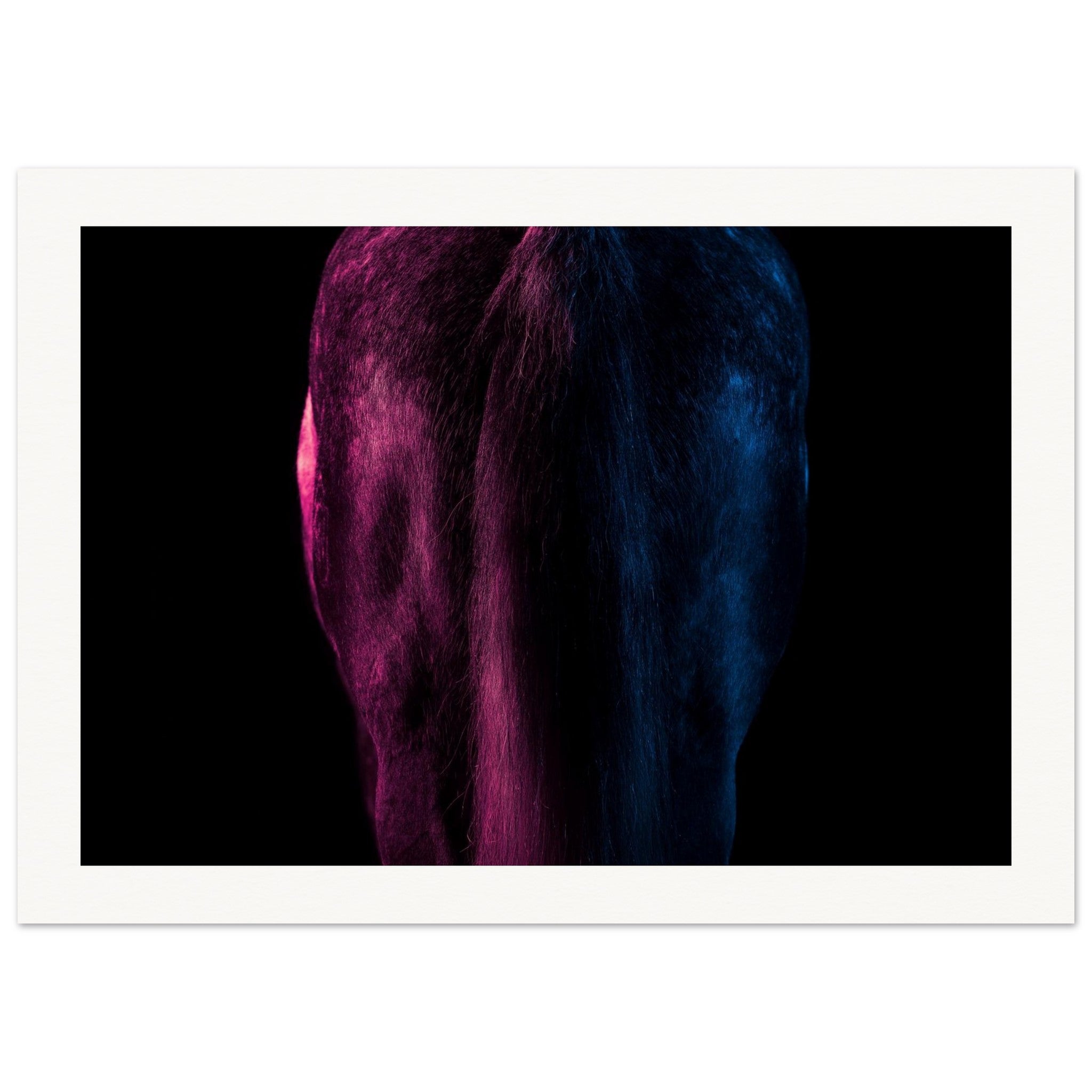 a47b437f-768e-4f6e-8e72-7e3bfa221297