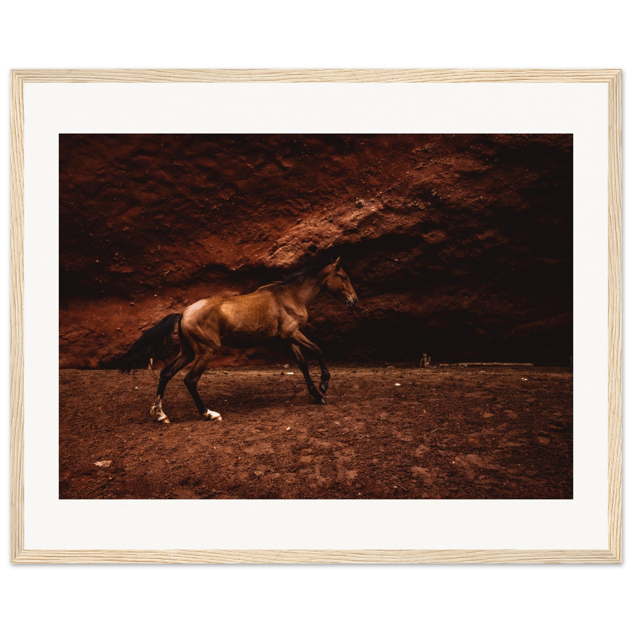 a48a8892-2db4-4e1e-970b-d911522053ba