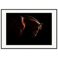 a493a27f-3dc7-4e59-9bf4-31d005ab172a