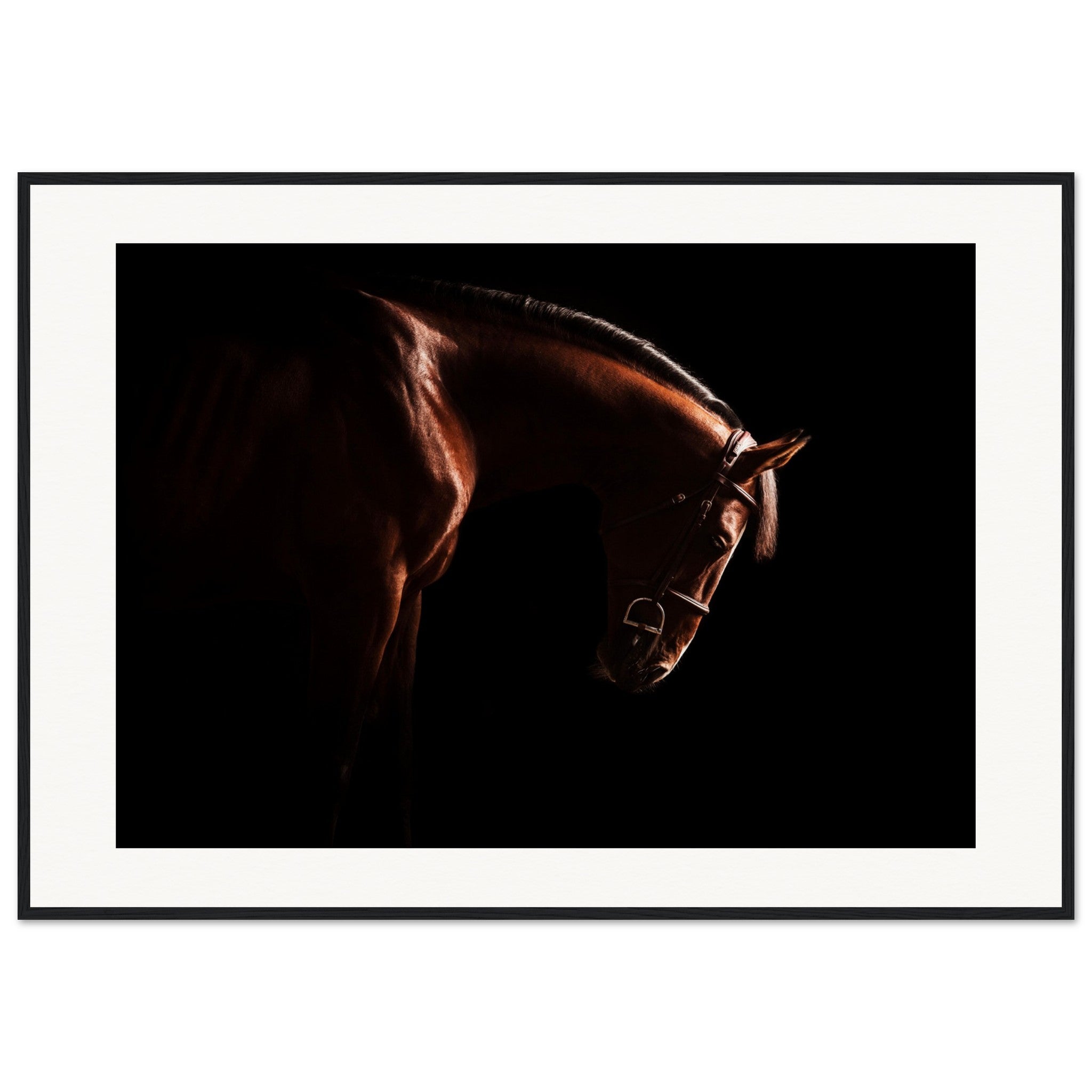 a493a27f-3dc7-4e59-9bf4-31d005ab172a